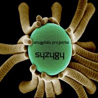Amygdala Projects - Syzygy - BFW recordings netlabel