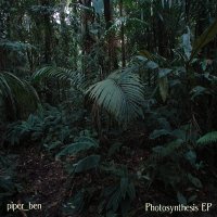 piper_ben - Photosynthesis - BFW recordings netlabel