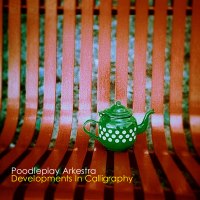 Poodleplay Arkestra - Developments In Calligraphy BFW recordings netlabel