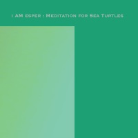 i AM esper - Meditation For Sea Turtles - BFW recordings netlabel