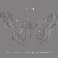i AM esper - The Slumber Of The Grayscale Moths - BFW recordings netlabel